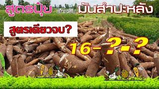 สูตรปุ๋ยสำหรับมันสำปะหลังสูตรไหนดี?_แบบอัตราหรือสูตรดี(มันสำปะหลัง)