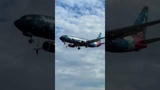 WestJet Boeing 737 in special Disney Livery #aviation #planespotting #aircraft #shorts #airplane