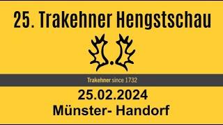 Trakehner Hengstschau 2024 Teil 3