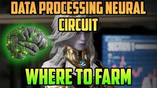 Data Processing Neural Circuit Farm | The First Descendant