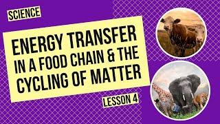 Energy Transfer in a Food Chain & The Cycling of Matter in Ecosystems