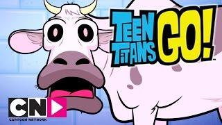 Teen Titans Go! | Dairy King | Cartoon Network