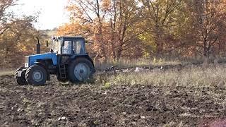 Вспашка зяби "ИТС Агро", ООО "Победа"