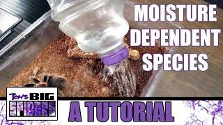 Keeping Moisture Dependent Tarantulas - A Tutorial