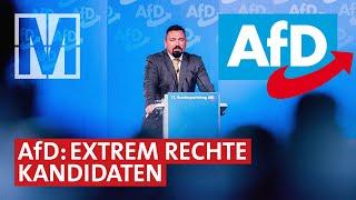 Extrem rechts im Westen: AfD-Kandidat*innen in Baden-Württemberg