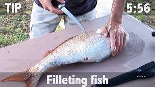 How to Fillet Fish
