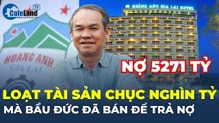 Khách sạn Hoàng Anh Gia Lai cùng loạt tài sản chục nghìn tỷ mà bầu Đức đã bán để trả nợ | CafeLand