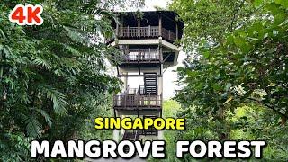 Discover the Hidden Gem of Singapore: Pasir Ris Mangrove Forest and Wildlife