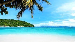 Relaxing Tropical Beach Sounds | Ocean Wave Sounds for Meditation, Sleeping, Study | 10 Hours
