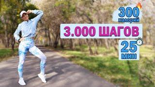 КАРДИО тренировка 3000 ШАГОВ. Сжечь 300 калорий за 25 МИН | Физкультурница