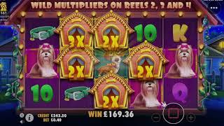 Dog House !! BIG WIN !! Low stakes slots