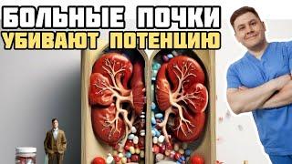 Как больные почки ухудшают потенцию