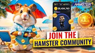 Hamster Kombat for New Players: Easy Start Guide ️ Hamster Academy