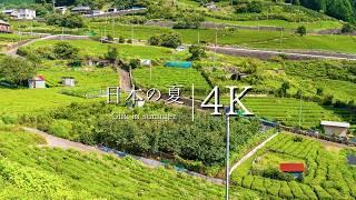 [Japan's summer scenery] Machu Picchu in Gifu - Visit the tea plantation in the sky - JAPAN 4K