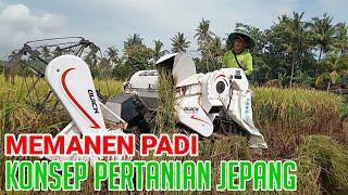 Panen padi || Quick combine harvester QH-11 Series