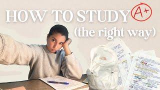 5 Study Tips As A Pre-Med Student (that actually work)