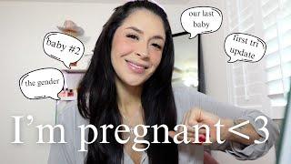 I'm pregnant!! first tri recap + the gender + our last baby