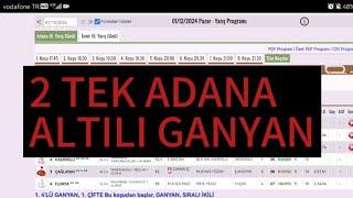 1 Aralık 2024 Pazar Adana At yarışı tahminleri Adana altılı ganyan tahminleri | Oğulcan Karaca