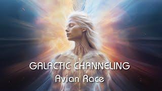 The Avian Race Channeling  -The Galactic Channeling Series