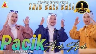 Trio Gali Gali - Pacik Arek Arek - (Official Music Video )