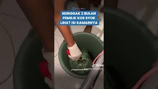 BIKIN SYOK! Pemilik Kos Keheranan Lihat Kamar Kos Penghuni yang Nunggak, Ternyata Ada Tambak Lobster