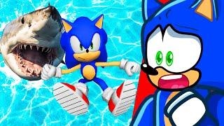 SONIC vs 9,784,235 Feet Fall