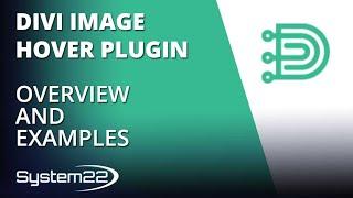 Divi Image Hover Plugin Overview And Examples 