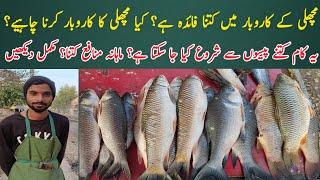 How To Start Fish Stall Business | Fish Selling Business In Pakistan | Fish Shop Business Idea