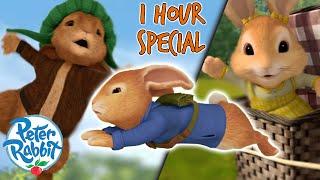 ​ @Peter Rabbit  - 1 Hour+ #BackToSchool Special  | Chases, Escapes & More! | Cartoons for Kids