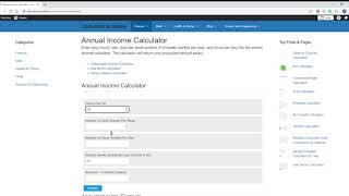 Annual Income Calculator