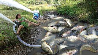 Wild Fishing Exciting: Catch Many Fish Using Water Cannon Pump Sucks Water Out Of Puddle