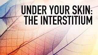 Under Your Skin: The Interstitium