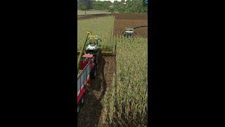 Oh no ‍ | Funny Moments - Farming Simulator 22 #shorts