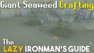 Giant Seaweed Crafting Guide -  Lazy Ironman's Guide
