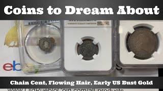 Coins to Dream About - Chain Cent, Flowing Hair, Early US Bust Gold