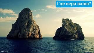 "Дела веры" Д. А. Толстопятов. МСЦ ЕХБ