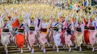 阿波おどりファン必見！徳島市阿波おどり総踊り！！踊り子さんの笑顔がすてき！ Awaodori in Tokushima Japan