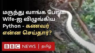 மலைப்பாம்பு வயிற்றை கிழித்து... Wife உடலை மீட்க Husband செய்தது என்ன?