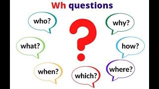 WH questions , who, what, when, which, where, how, why