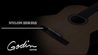 Godin Nylon Series