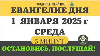 1 ЯНВАРЯ СРЕДА #ЕВАНГЕЛИЕ ДНЯ 5 МИНУТ АПОСТОЛ МОЛИТВЫ 2024 #мирправославия