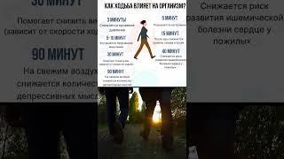 РЕГУЛЯРНАЯ ХОДЬБА УЛУЧШАЕТ ОБЩЕЕ САМОЧУВСТВИЕ И ПРОДЛЕВАЕТ ЖИЗНЬ #ходьба #здоровье #пользаходьбы