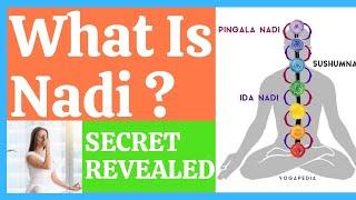 SECRET OF NADIS : A Network In Human Body