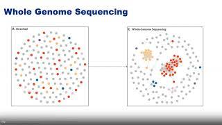 WEBINAR - Real-time Whole Genome Sequencing Surveillance for Healthcare Outbreak Detection and...