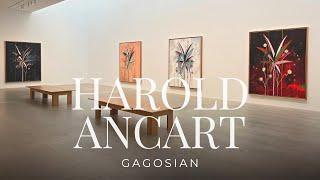 Exhibition Walkthrough: Harold Ancart at Gagosian | ArtAsForm