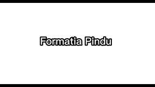 Formatia Pindu