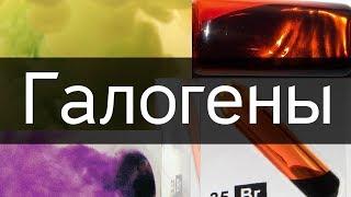 ГАЛОГЕНЫ. Секреты 7 группы элементов таблицы. [ChemistryToday]