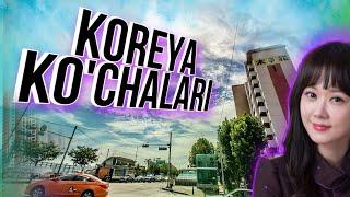 Koreya ko'chalari bo'ylab sayohat | Masofa