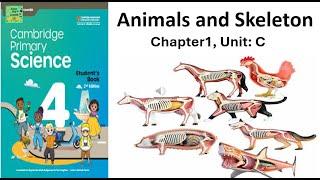 Cambridge primary science grade 4#Animals and their skeleton Marshall Cavendish Unit:1C
