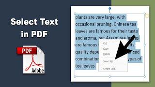 How to select text in pdf using Adobe Acrobat Pro DC